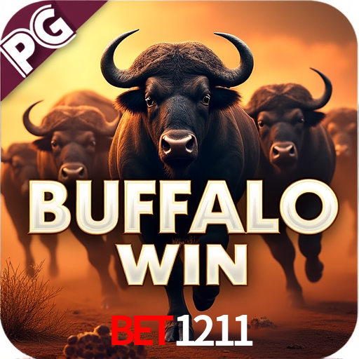 Sports Statistics bet1211